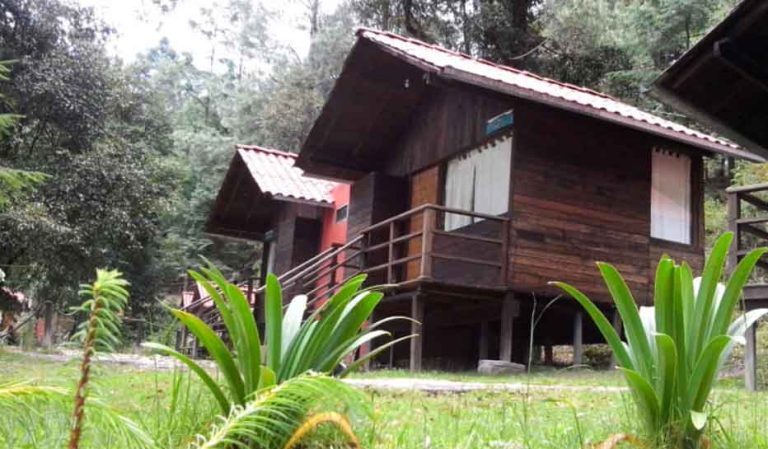 Cabañas con Aguas Termales Los Azufres SPA Natural